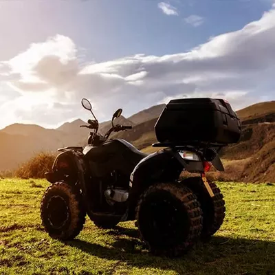 quad
